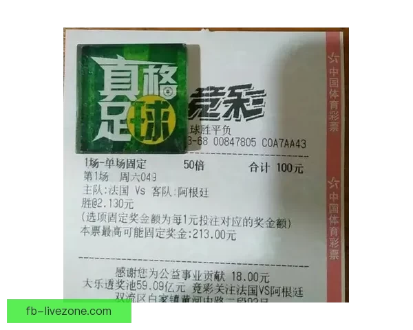 世界杯竞猜网站全攻略新手入门投注技巧与赛事预测深度解析指南